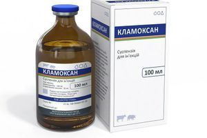 Як працює антибіотик Кламоксан для лікування тварин?