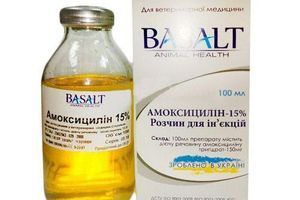 Амоксицилін &ndash; 15%: ефективний антибіотик для боротьби з бактеріальними інфекціями у тварин