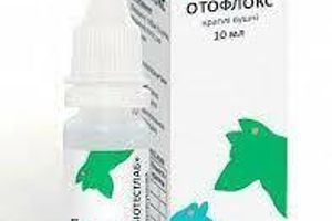 Отофлокс: лікує отити різних етіологій