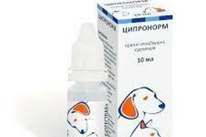 Ципронорм &ndash; норма здоров'я очей та вух